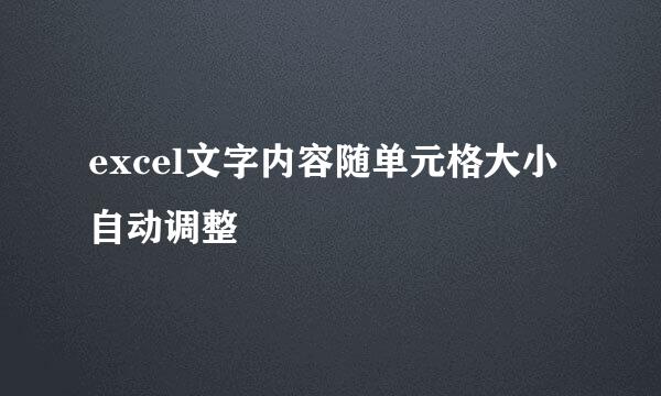 excel文字内容随单元格大小自动调整