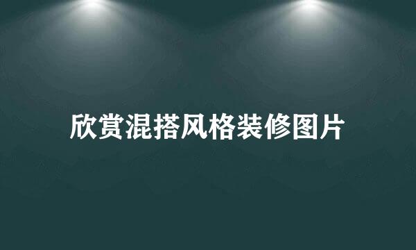 欣赏混搭风格装修图片