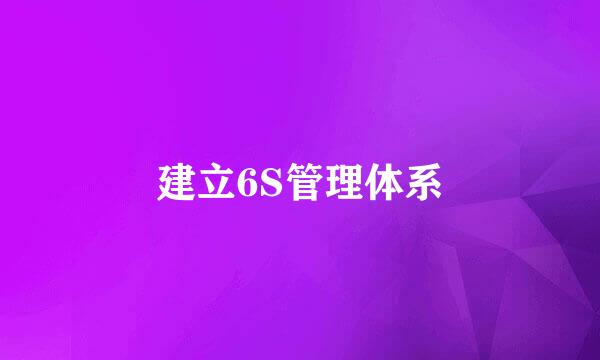 建立6S管理体系