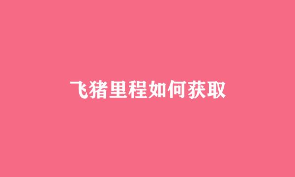 飞猪里程如何获取
