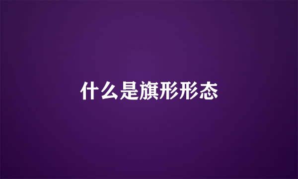 什么是旗形形态