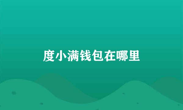 度小满钱包在哪里
