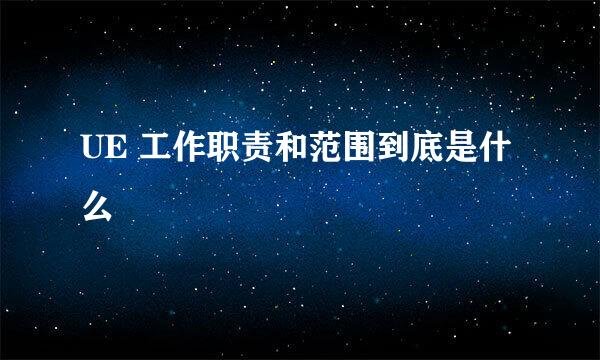 UE 工作职责和范围到底是什么