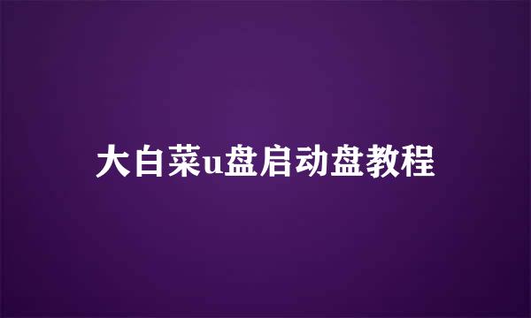 大白菜u盘启动盘教程