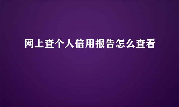 网上查个人信用报告怎么查看