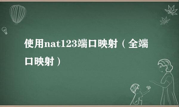 使用nat123端口映射（全端口映射）
