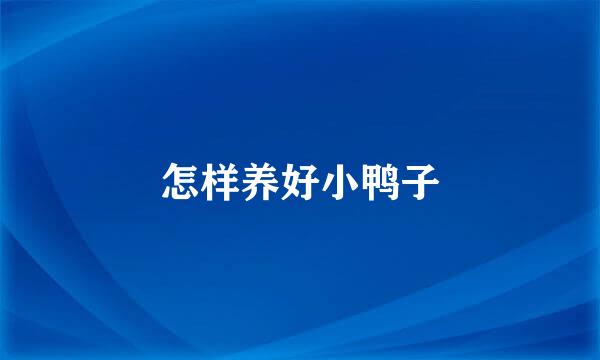 怎样养好小鸭子
