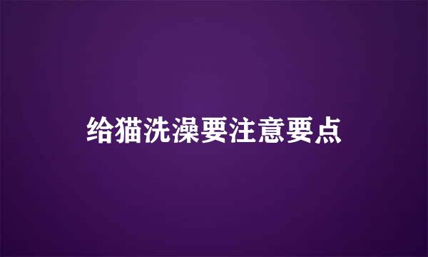 给猫洗澡要注意要点