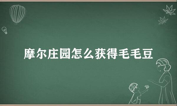 摩尔庄园怎么获得毛毛豆