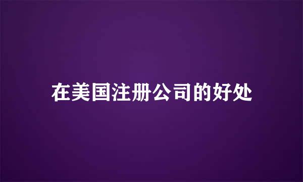 在美国注册公司的好处