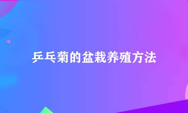 乒乓菊的盆栽养殖方法