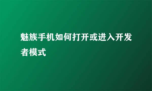 魅族手机如何打开或进入开发者模式