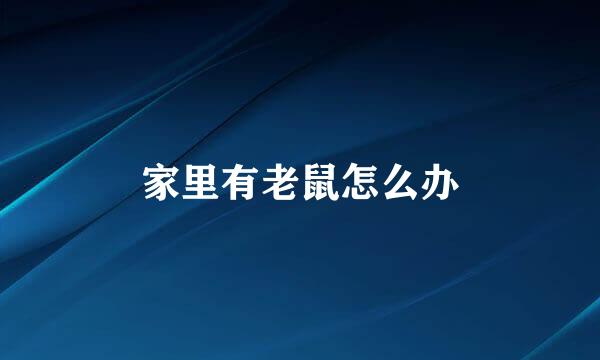 家里有老鼠怎么办