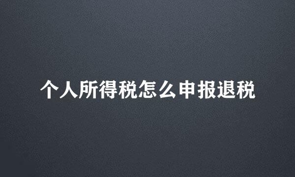 个人所得税怎么申报退税