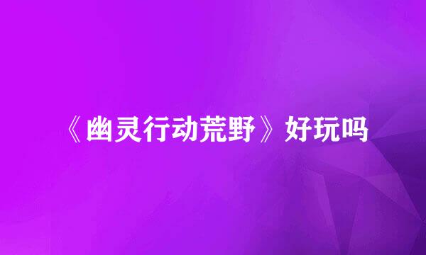 《幽灵行动荒野》好玩吗