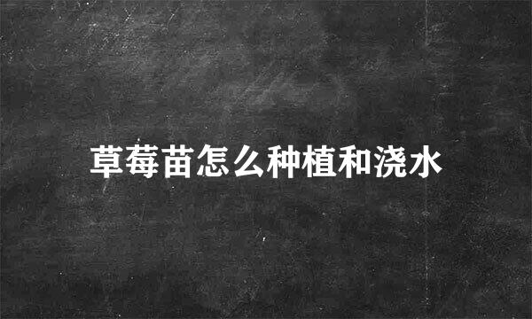 草莓苗怎么种植和浇水
