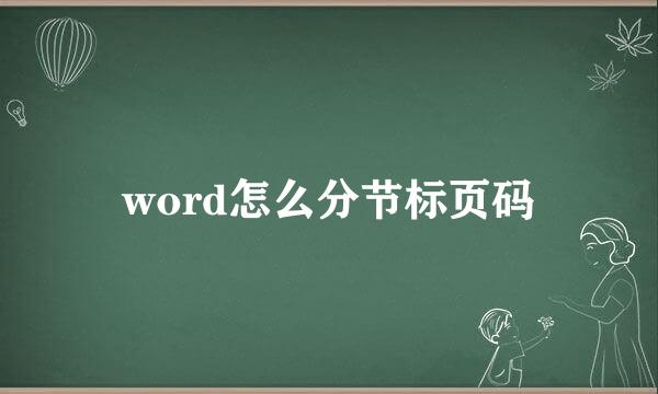 word怎么分节标页码