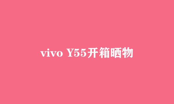 vivo Y55开箱晒物