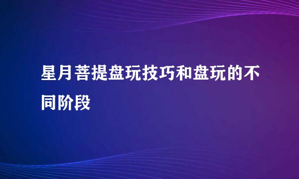 星月菩提盘玩技巧和盘玩的不同阶段