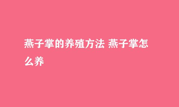 燕子掌的养殖方法 燕子掌怎么养