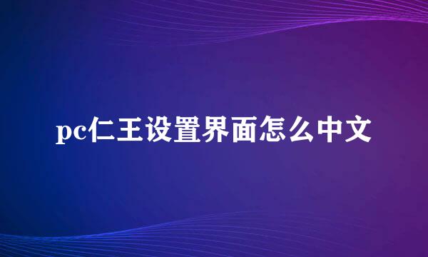 pc仁王设置界面怎么中文