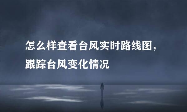 怎么样查看台风实时路线图，跟踪台风变化情况