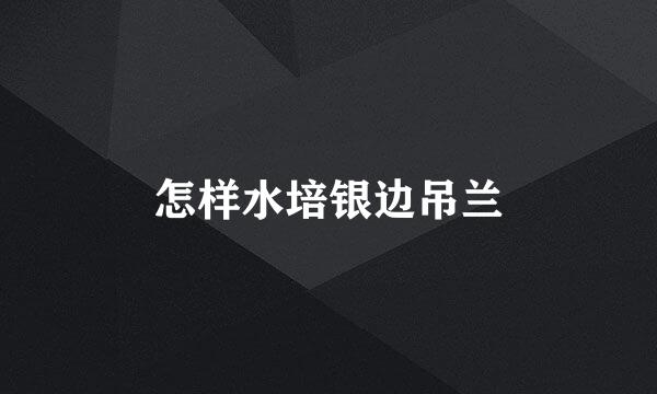 怎样水培银边吊兰