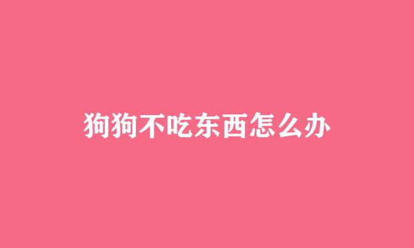 狗狗不吃东西怎么办