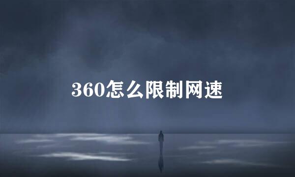 360怎么限制网速