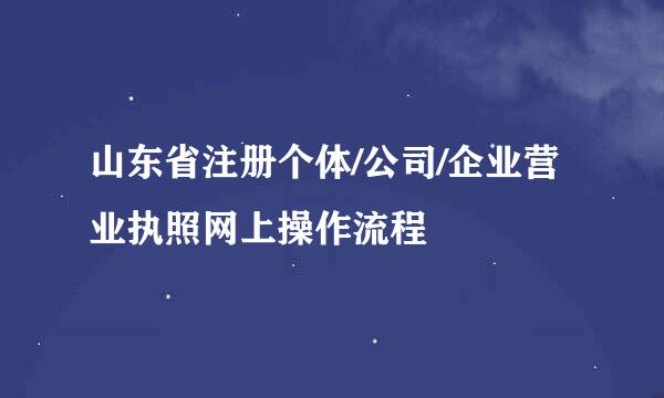 山东省注册个体/公司/企业营业执照网上操作流程