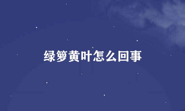 绿箩黄叶怎么回事