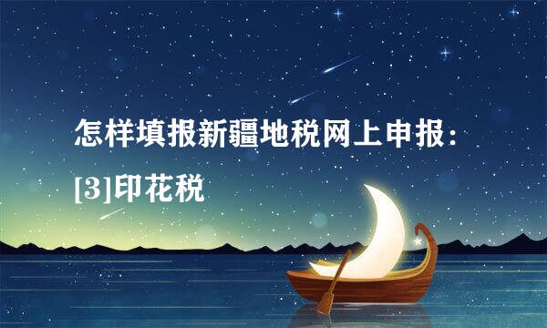 怎样填报新疆地税网上申报：[3]印花税