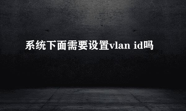 系统下面需要设置vlan id吗