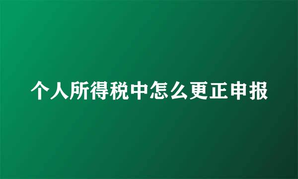 个人所得税中怎么更正申报
