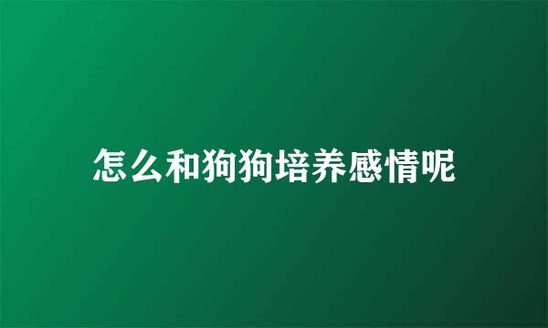 怎么和狗狗培养感情呢