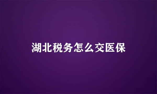 湖北税务怎么交医保