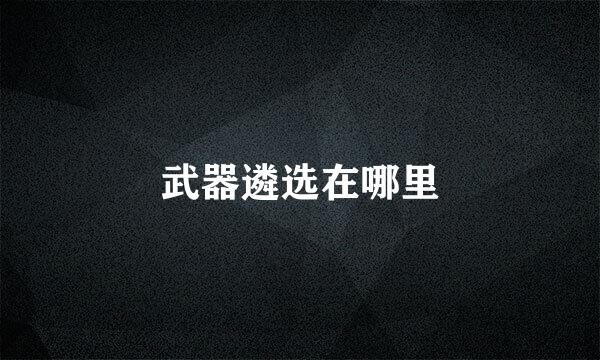 武器遴选在哪里