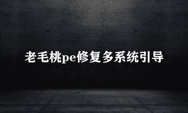 老毛桃pe修复多系统引导
