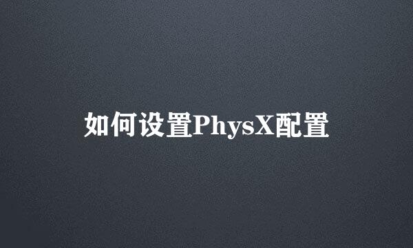 如何设置PhysX配置