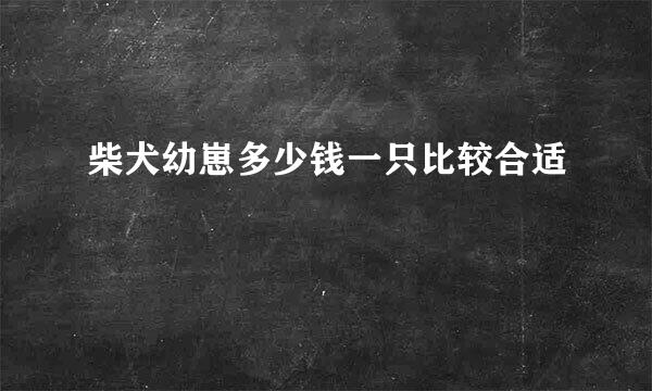 柴犬幼崽多少钱一只比较合适