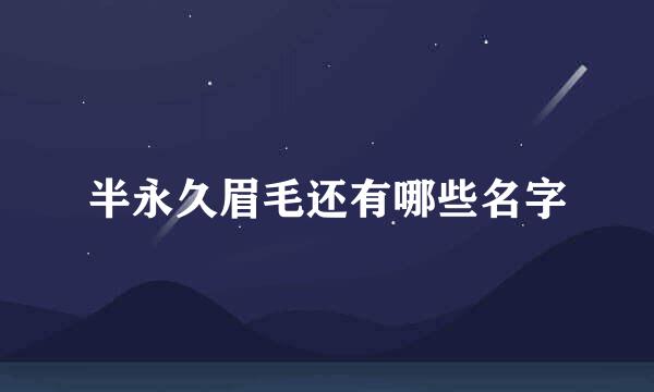 半永久眉毛还有哪些名字