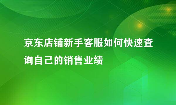 京东店铺新手客服如何快速查询自己的销售业绩