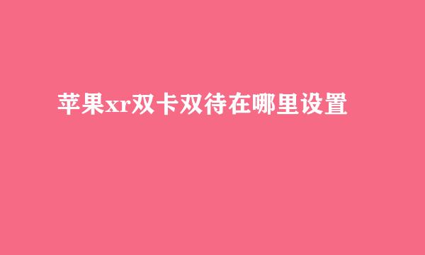 苹果xr双卡双待在哪里设置