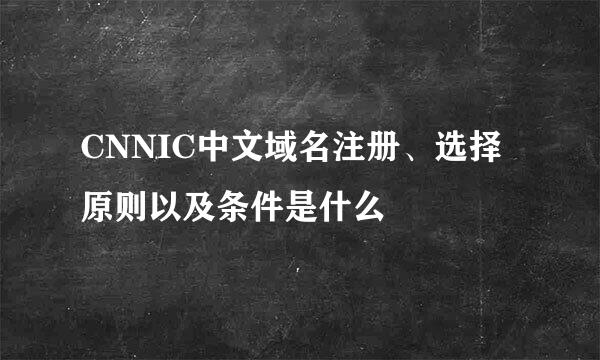 CNNIC中文域名注册、选择原则以及条件是什么