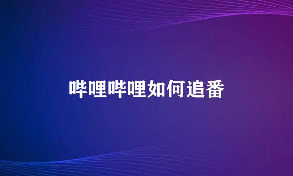 哔哩哔哩如何追番