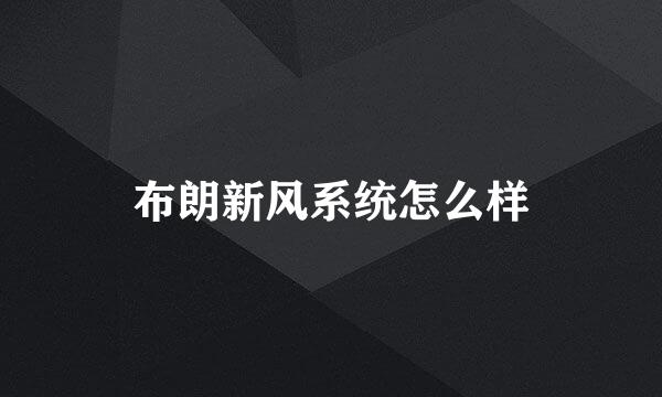 布朗新风系统怎么样