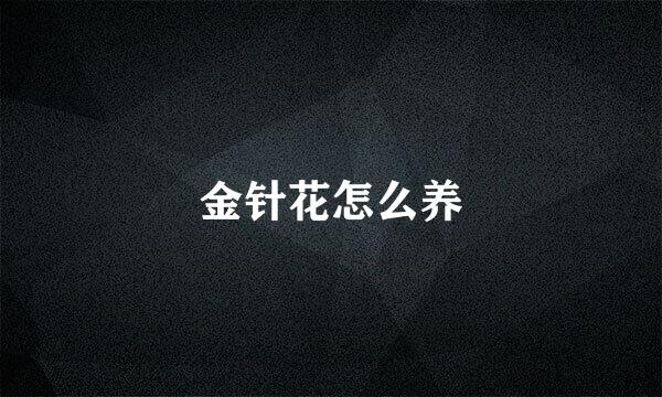 金针花怎么养