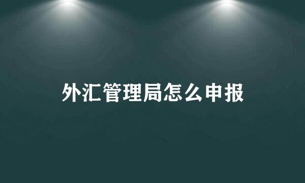 外汇管理局怎么申报