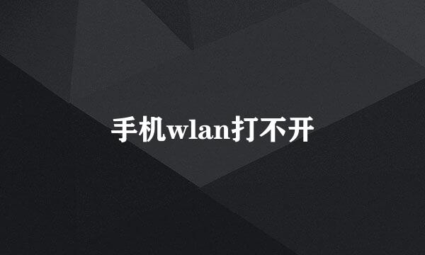 手机wlan打不开