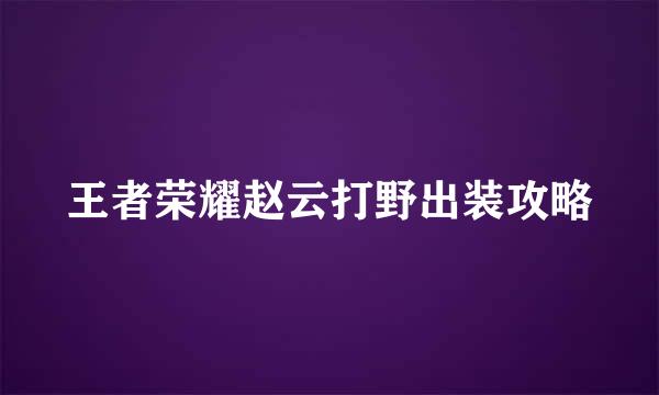 王者荣耀赵云打野出装攻略